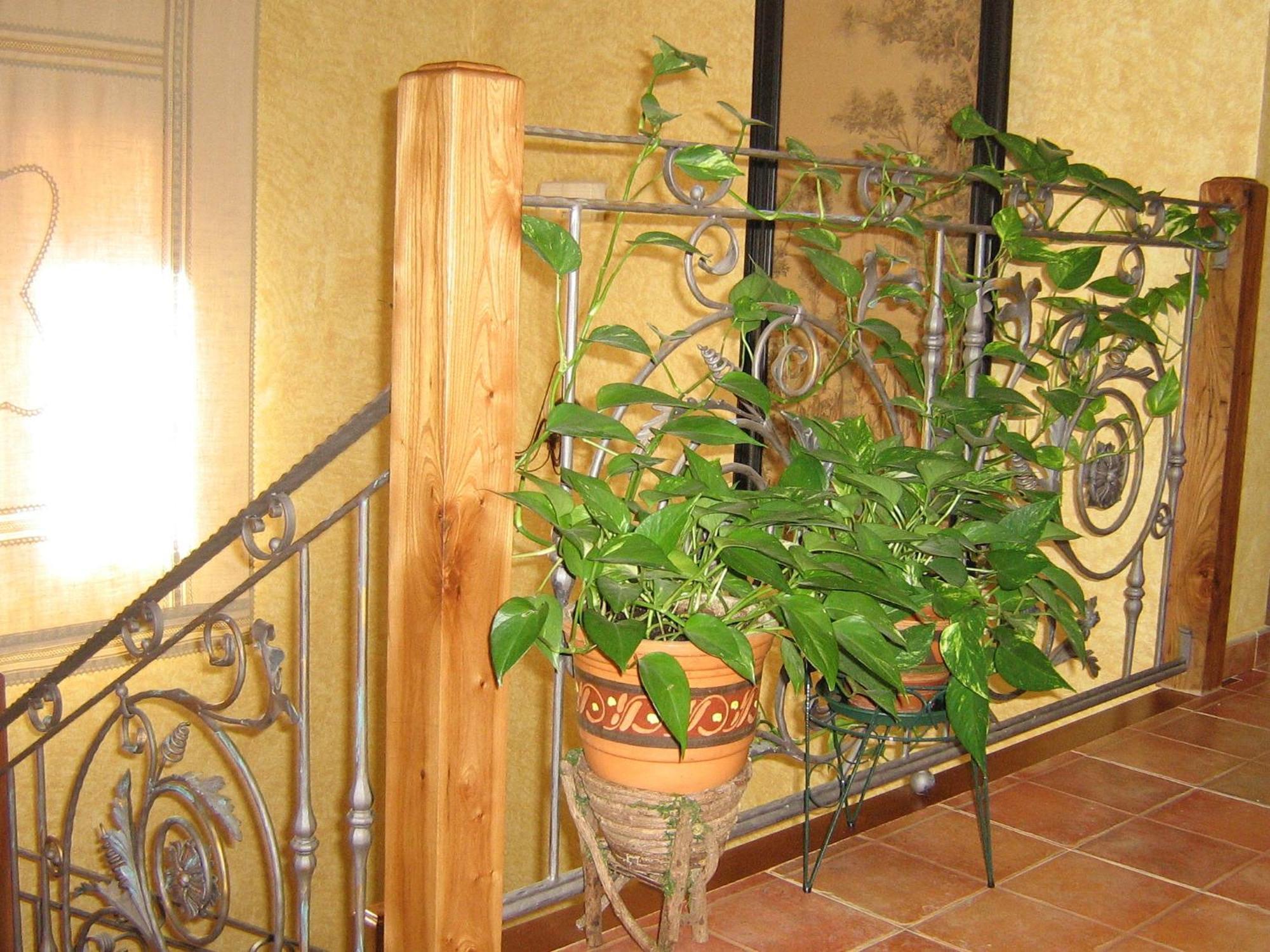 Hotel Rural El Museo Cedillo de la Torre Екстериор снимка