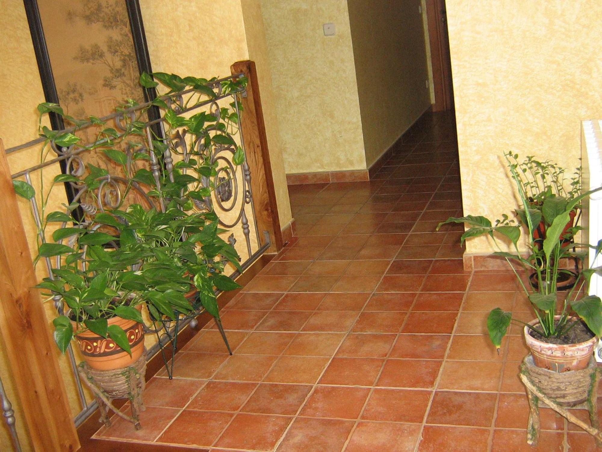 Hotel Rural El Museo Cedillo de la Torre Екстериор снимка